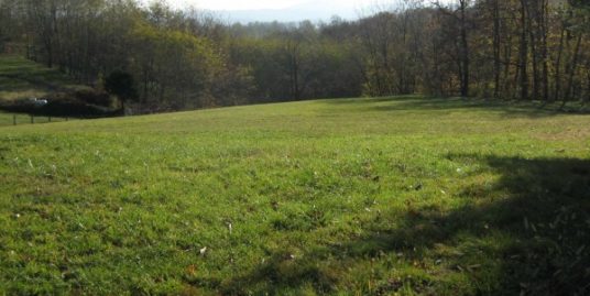 Terreno agricolo in Vendita a Bardello